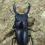 18070301-e1530610699402-