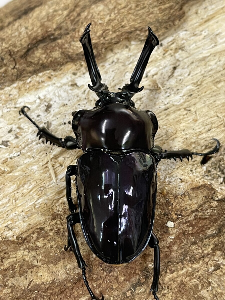 25062005