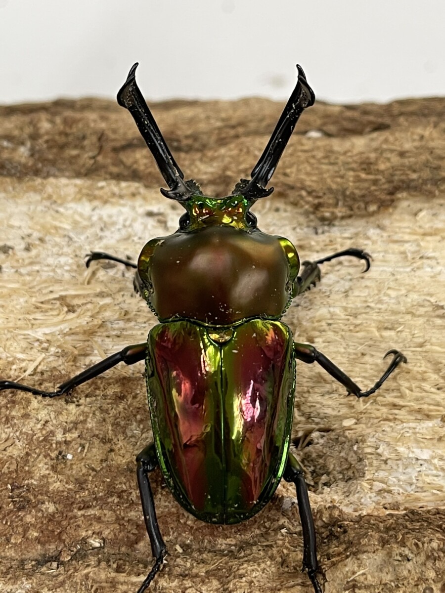 25062013