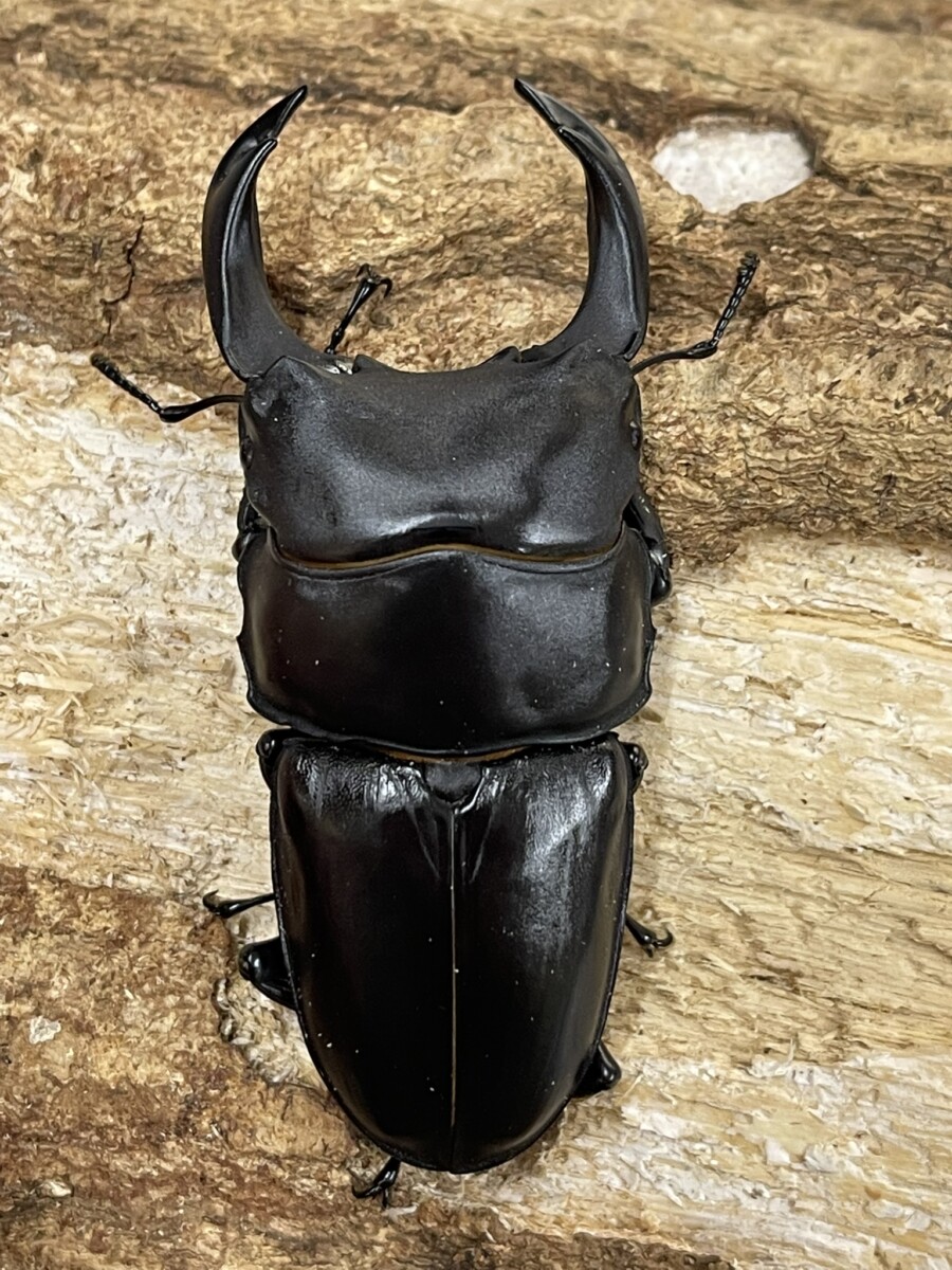 25070402