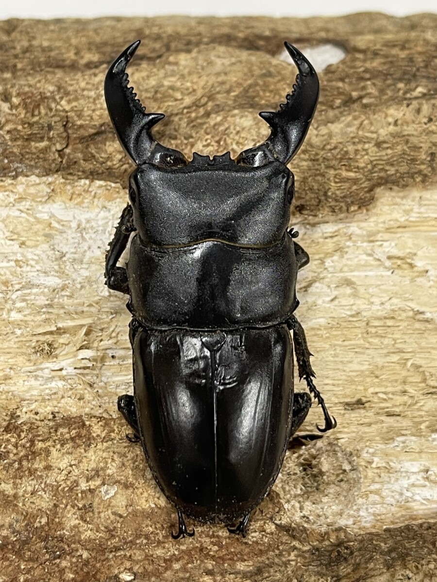 25071201