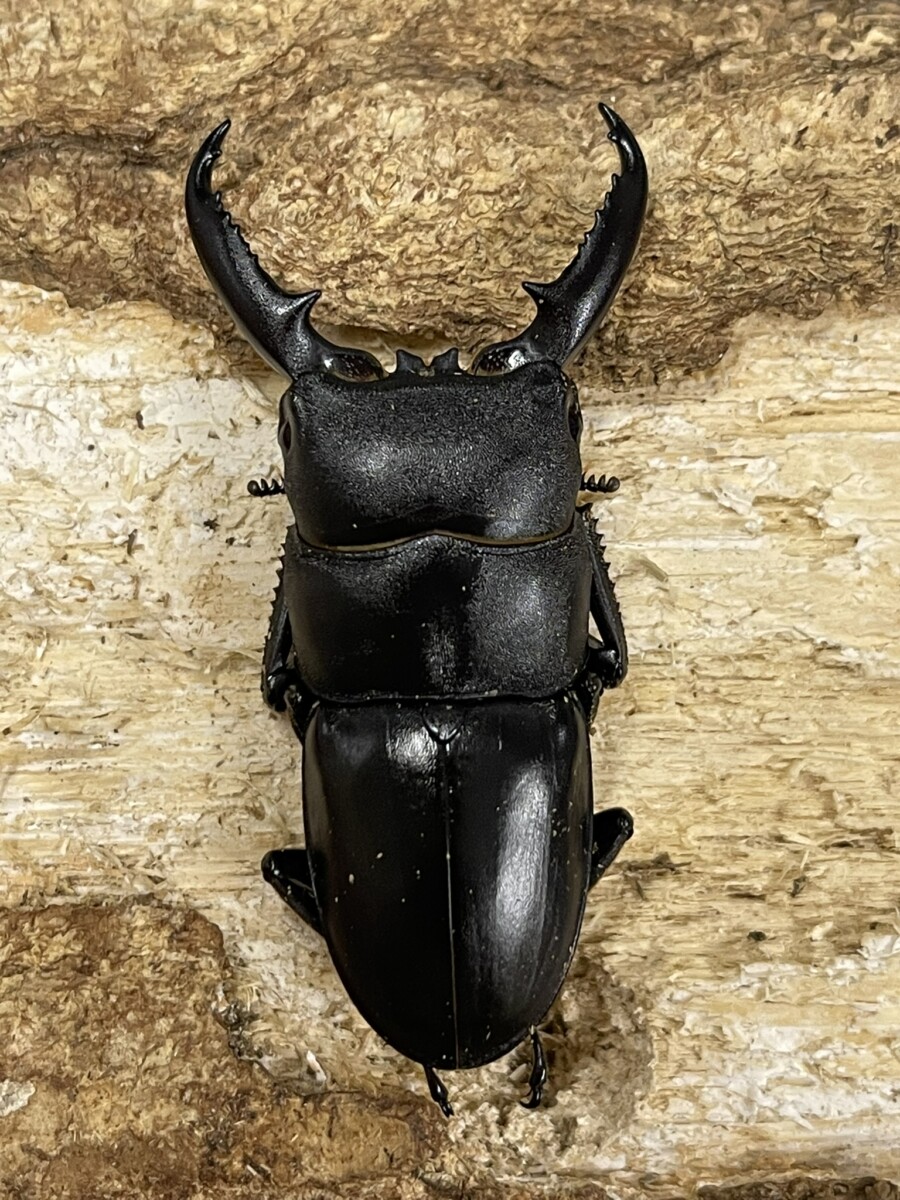 25071301
