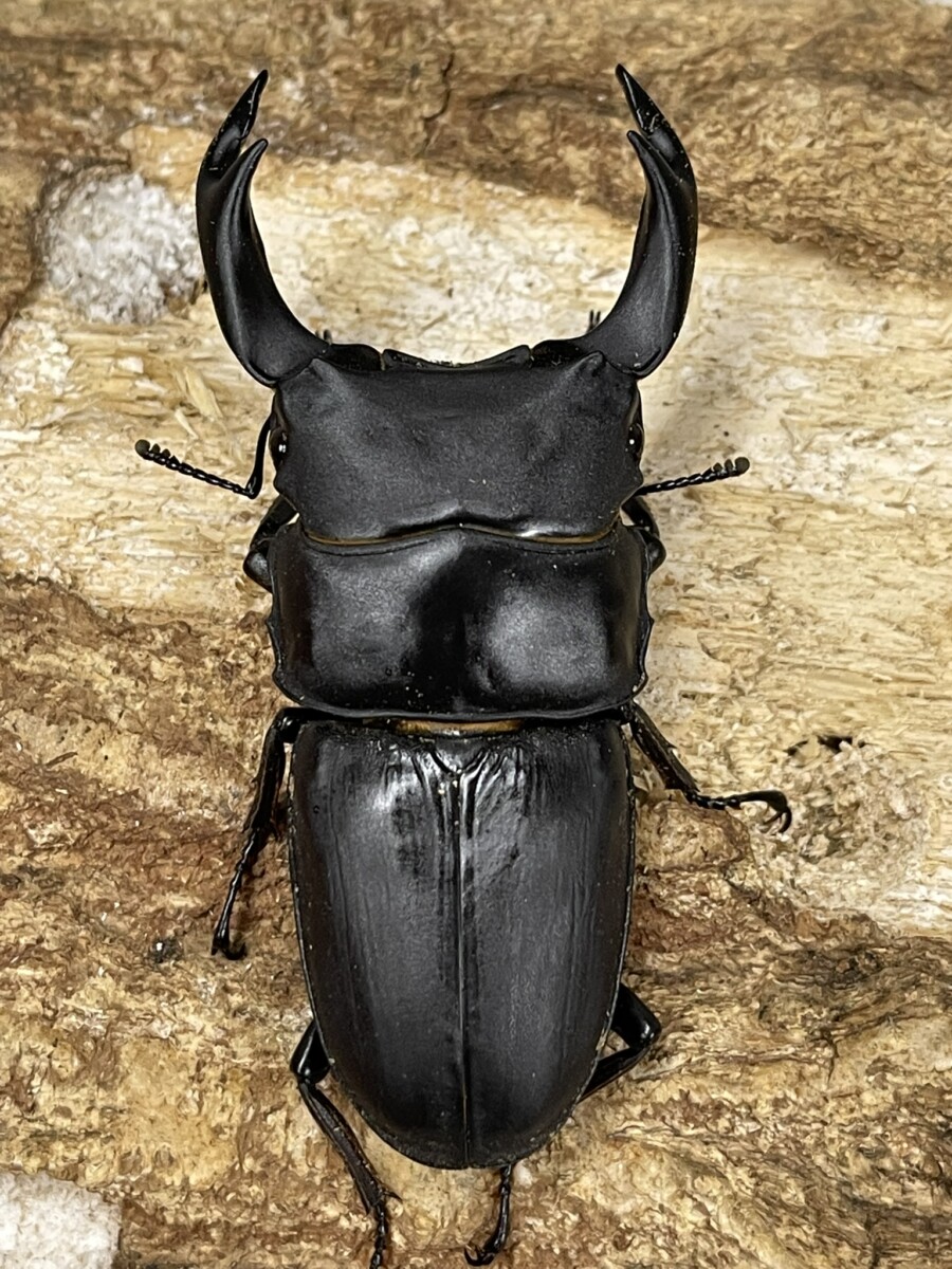 25090501