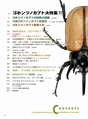 BE-KUWA 74 - クワガタ横丁