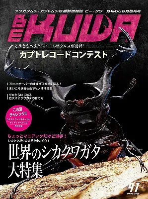 クワガタ•カブトムシ専門雑誌　KUWATA Amazon.co.jp: KUWATA No.3 (ｸﾜｶﾞﾀ・ｶﾌﾞﾄﾑｼ専門雑誌) : ワイルド
