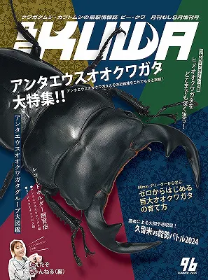 折りたたみポスター希少！ 海外カブトムシ＆クワガタ昆虫図鑑付録　昭和58年当時品 71hEeI417jL._UF894,1000_QL80_.jpg