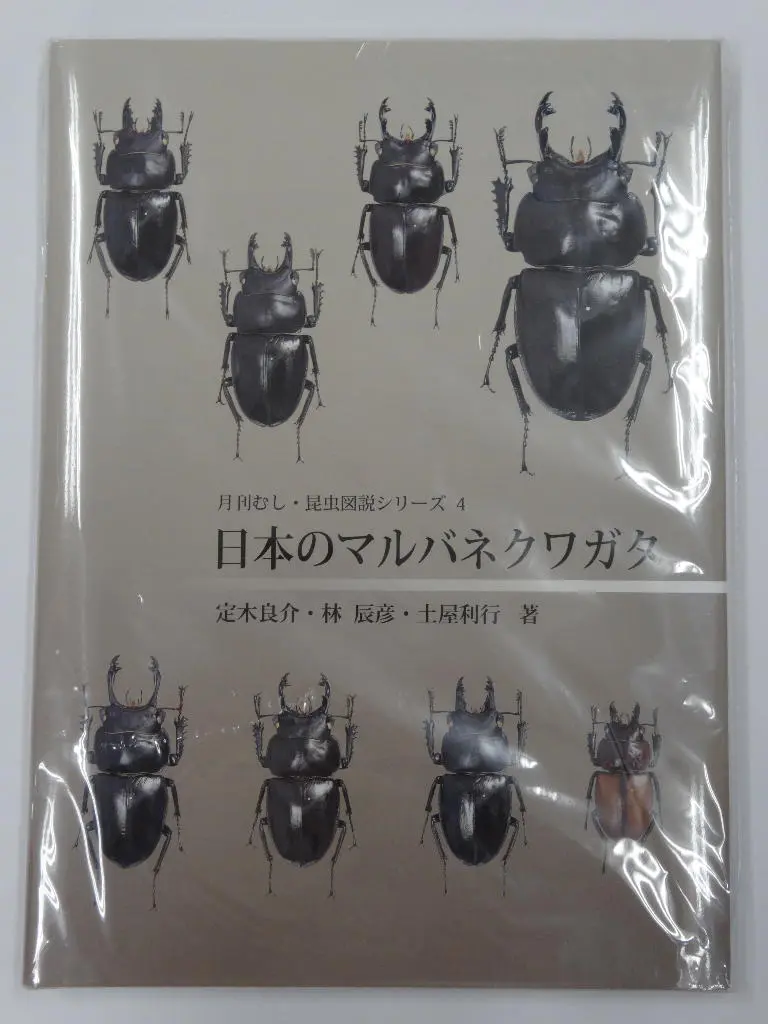 世界のカブトムシ 上 日本のマルバネクワガタ 楽天市場】日本のマルバネクワガタ（増補・改訂版） : 株式会社