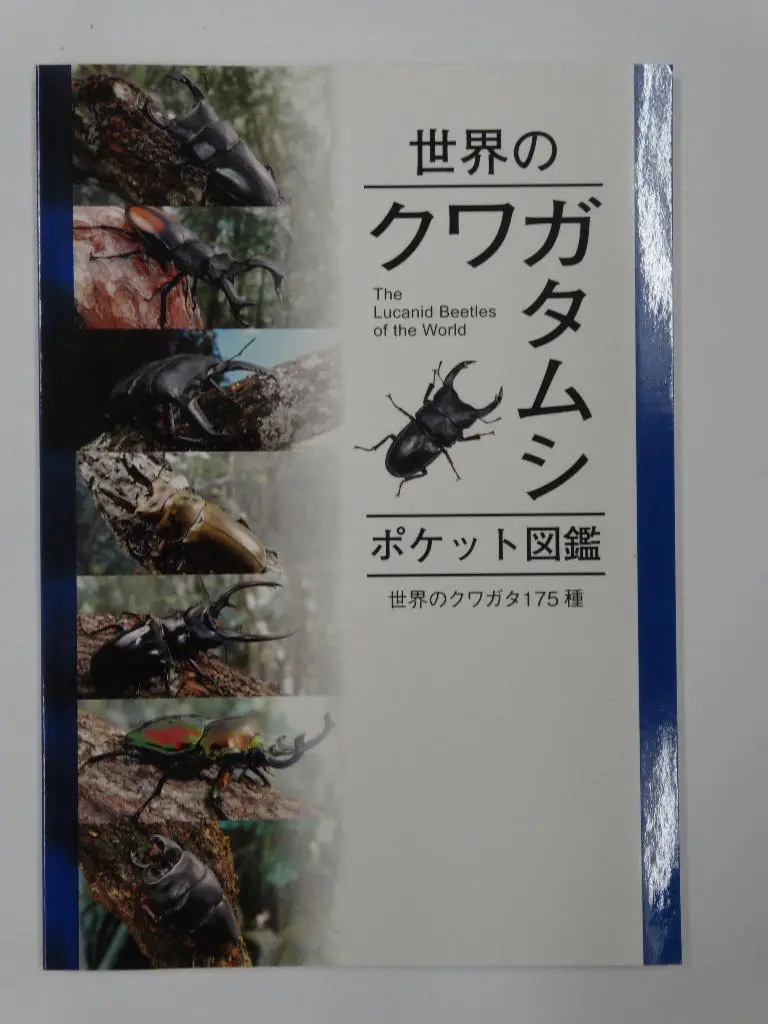 世界のクワガタムシ大図鑑　むし社　　　　　クワガタ図鑑 Amazon.co.jp: 世界のクワガタ大図鑑: クワガタムシ150種