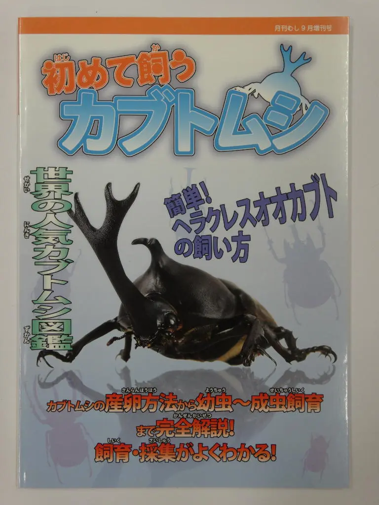 【輸入本】タイの専門書【クワガタ】 10rue-0621-0031.jpg