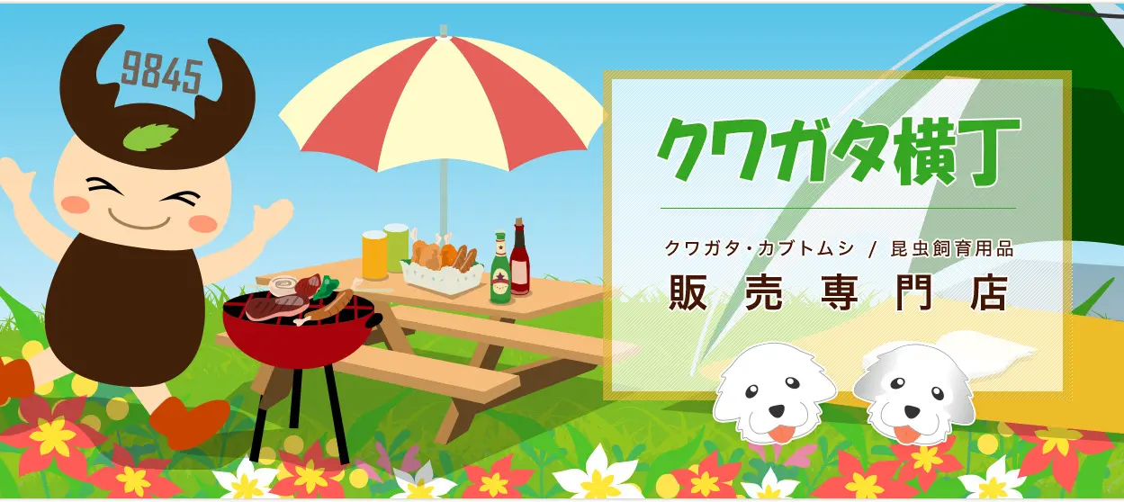 小学生が描いたよ！クワガタ　値下げOK‼︎ ホーム - クワガタ横丁