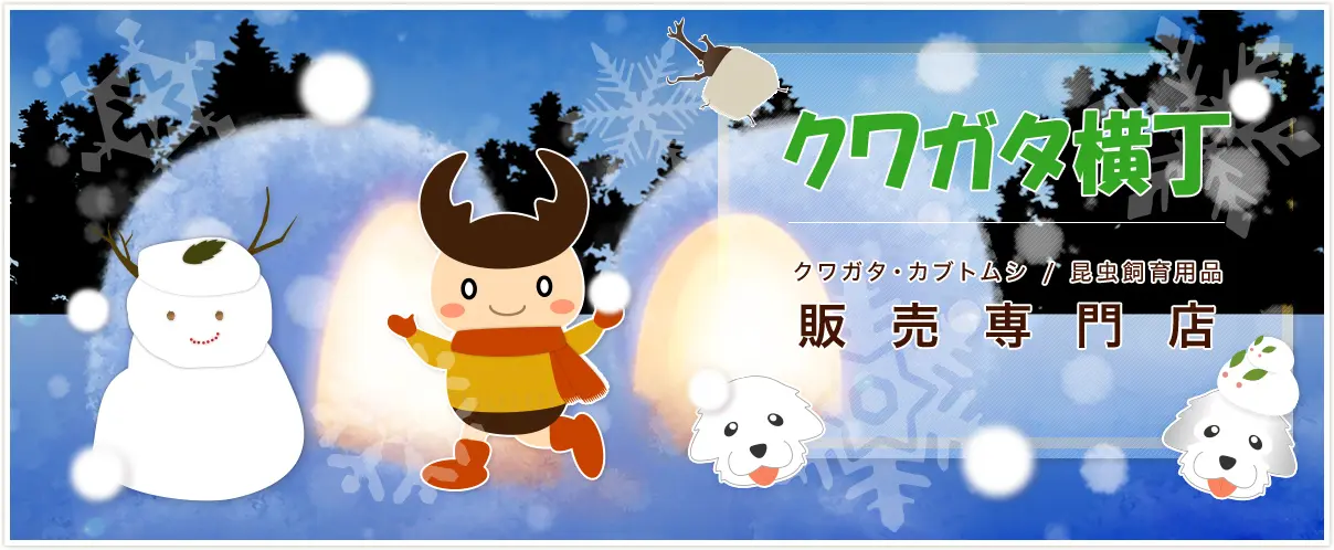 ホーム - クワガタ横丁