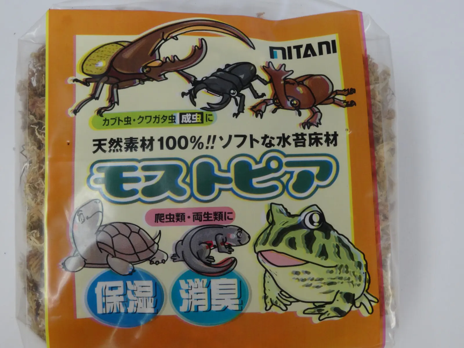 ミタニ モストピア - クワガタ横丁