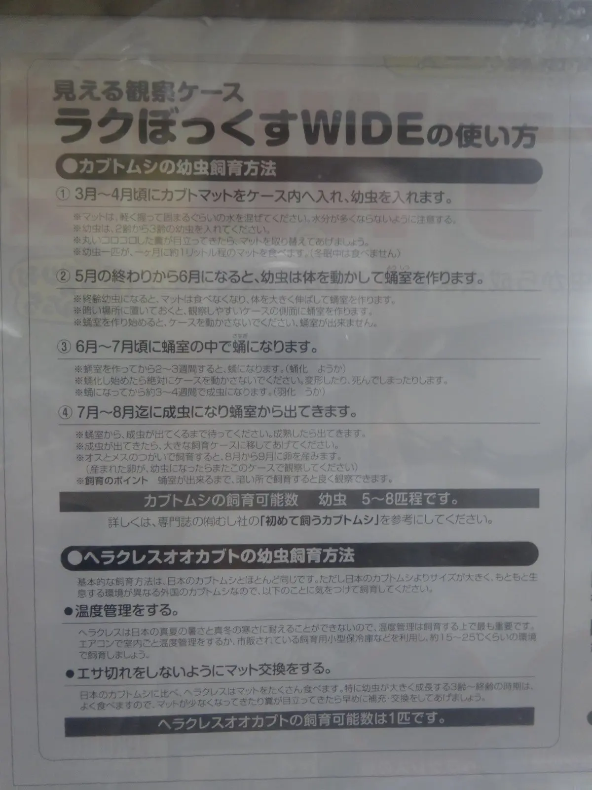 ヤマイネ ラクぼっくすWIDE - クワガタ横丁